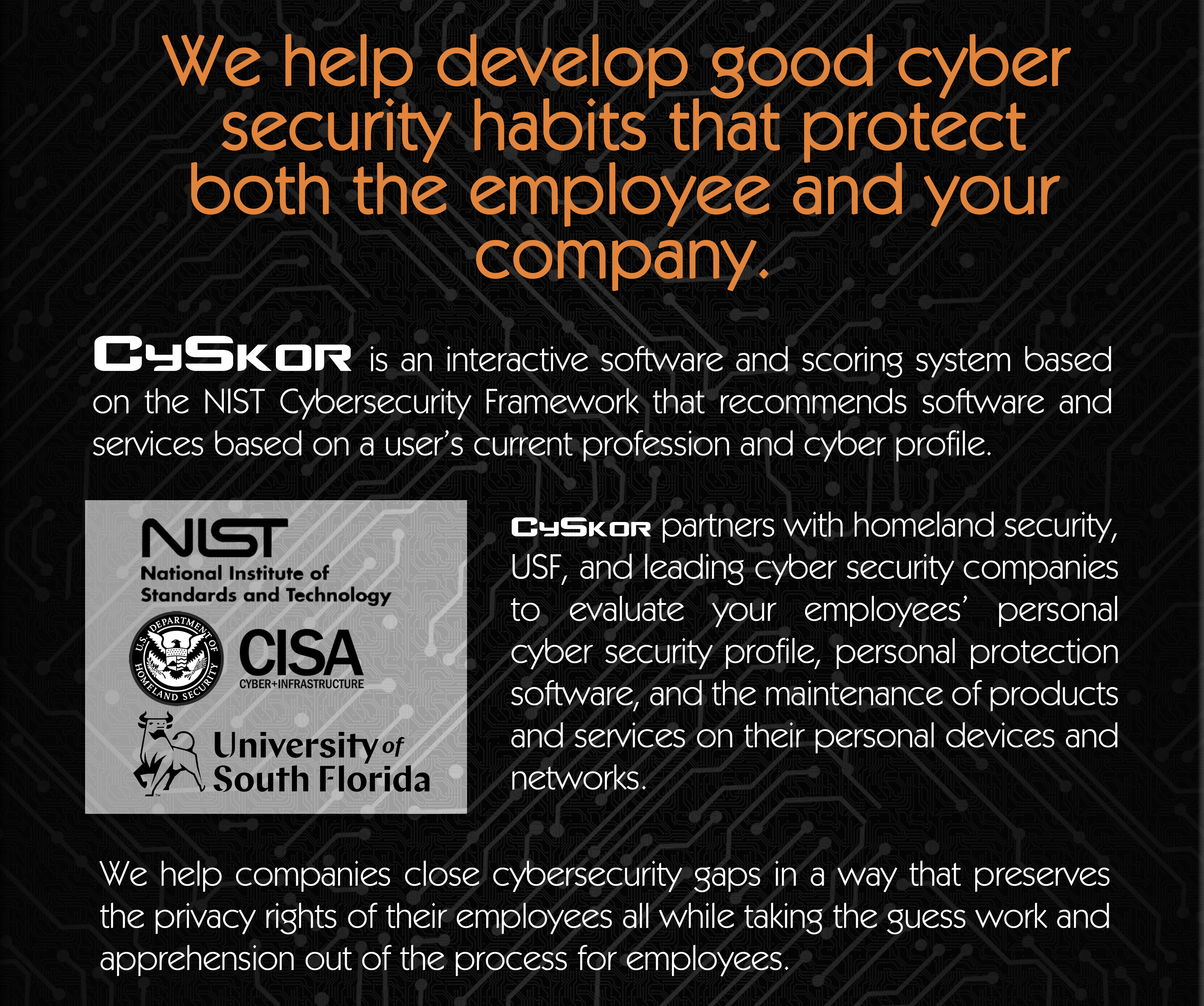 We help develop good cyber security habits